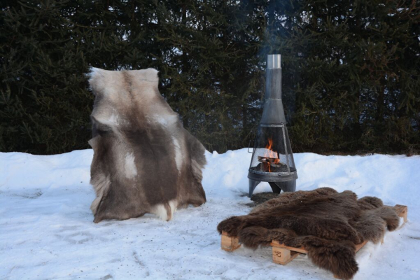 Rentierfell Great Wild Lion XXXL